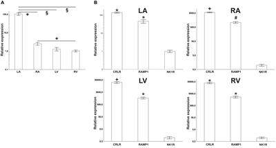 Substance P Receptor in the Rat Heart and Regulation of Its Expression in Long-Term Diabetes